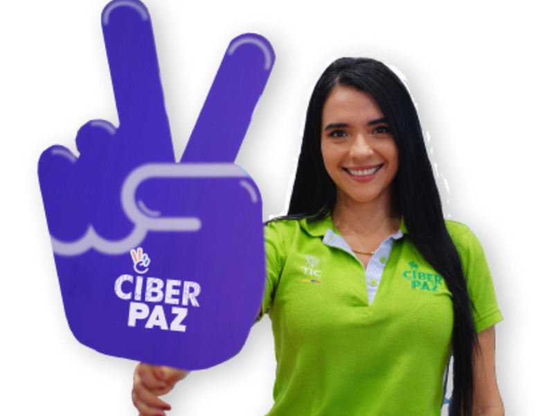 Metas del programa