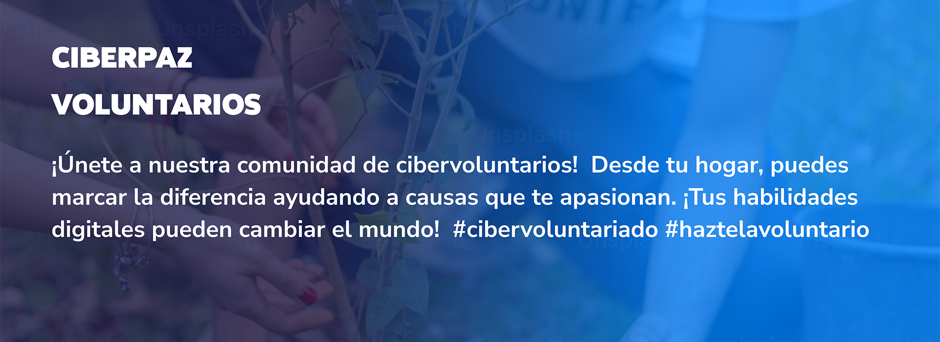 CiberPaz voluntarios